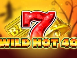 Wild Hot 40 Halloween screenshot